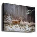 Wild Tiger by Jan Rozehnal | Snow Forest Wildlife, Large Canvas Wall Art Print | Artsy Earth