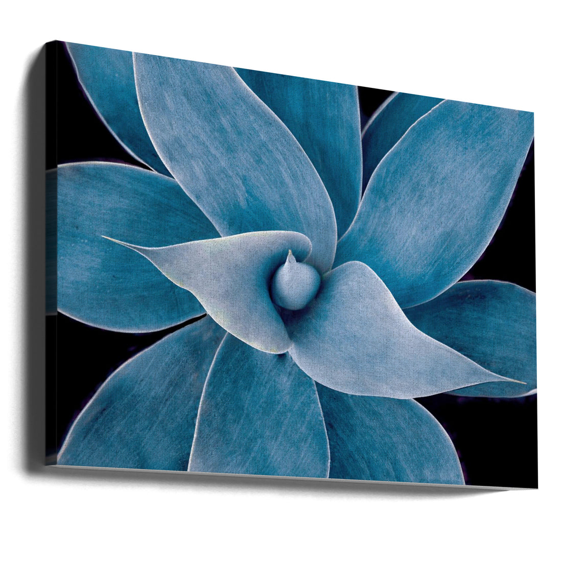 The Winter Blues 2023 by Robin Wechsler | Blue Botanical Abstract, Large Canvas Wall Art Print | Artsy Earth