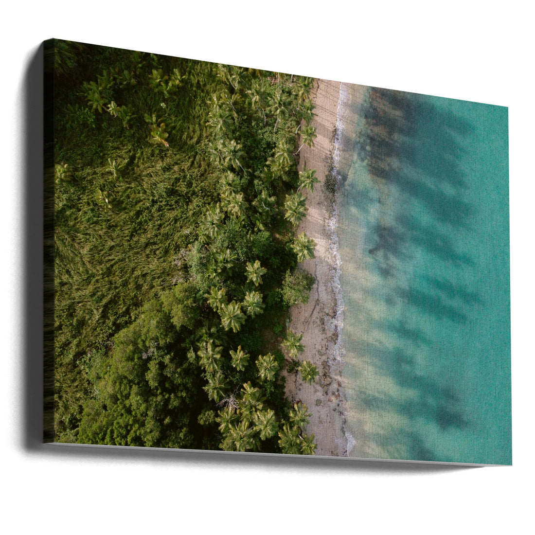 Green Beach from Above by Raisa Zwart | Aerial Beach Landscape, Large Canvas Wall Art Print | Artsy Earth