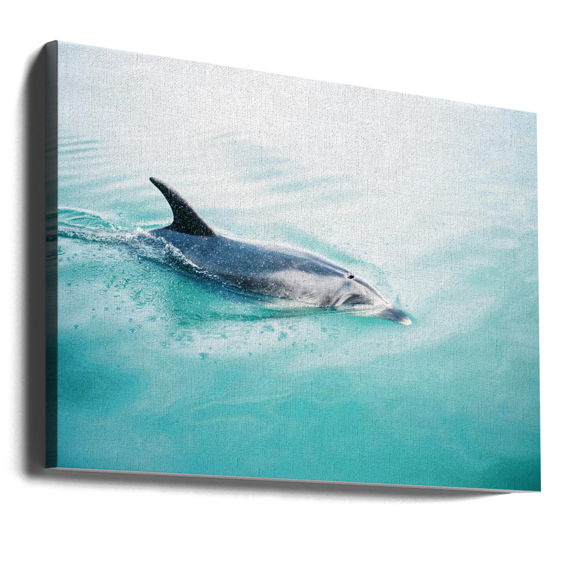 Wild Dolphin Swimming by Raisa Zwart | Ocean Wildlife Nature, Large Canvas Wall Art Print | Artsy Earth