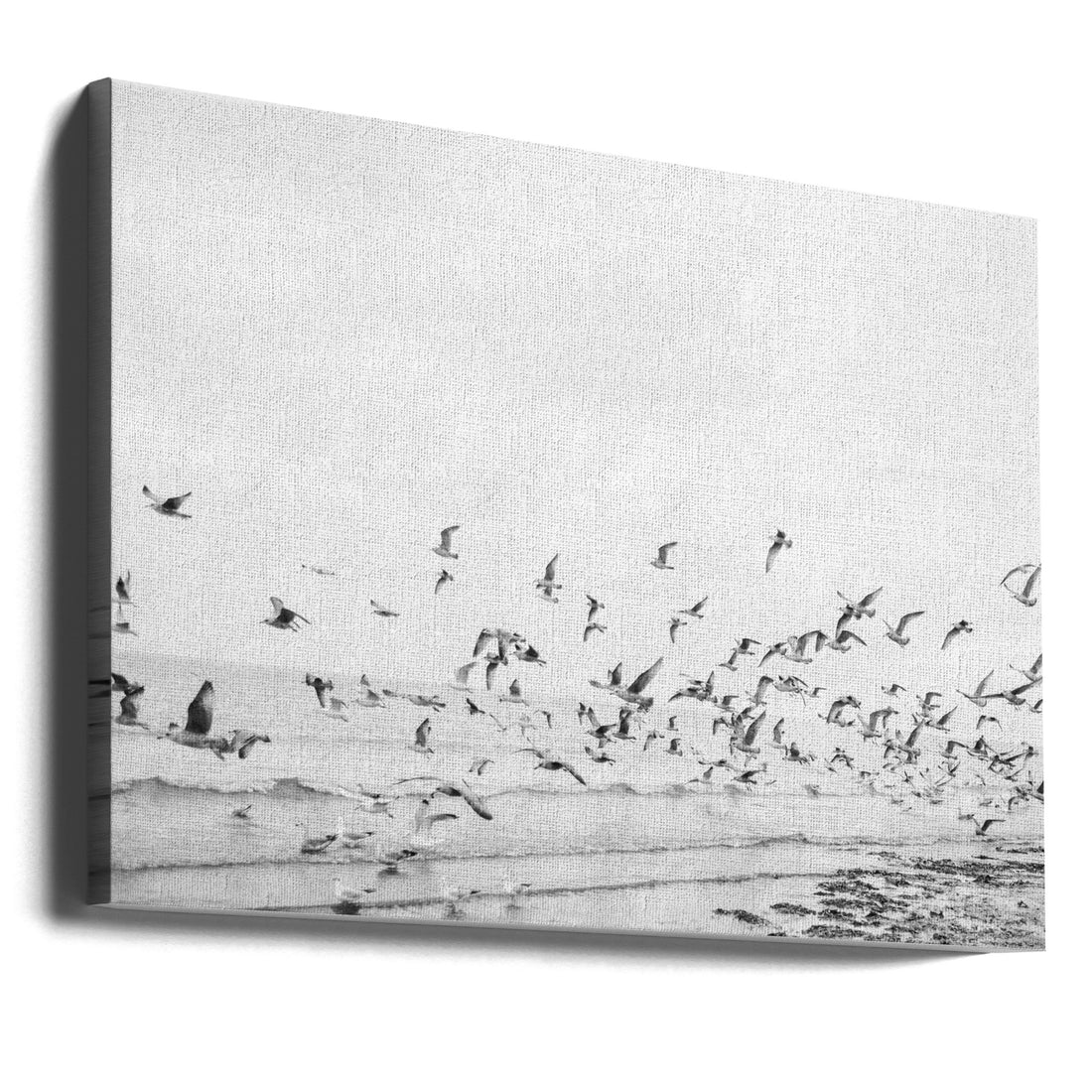 Seagulls Coastal by Raisa Zwart | Flying Seabirds Wildlife, Large Canvas Wall Art Print | Artsy Earth