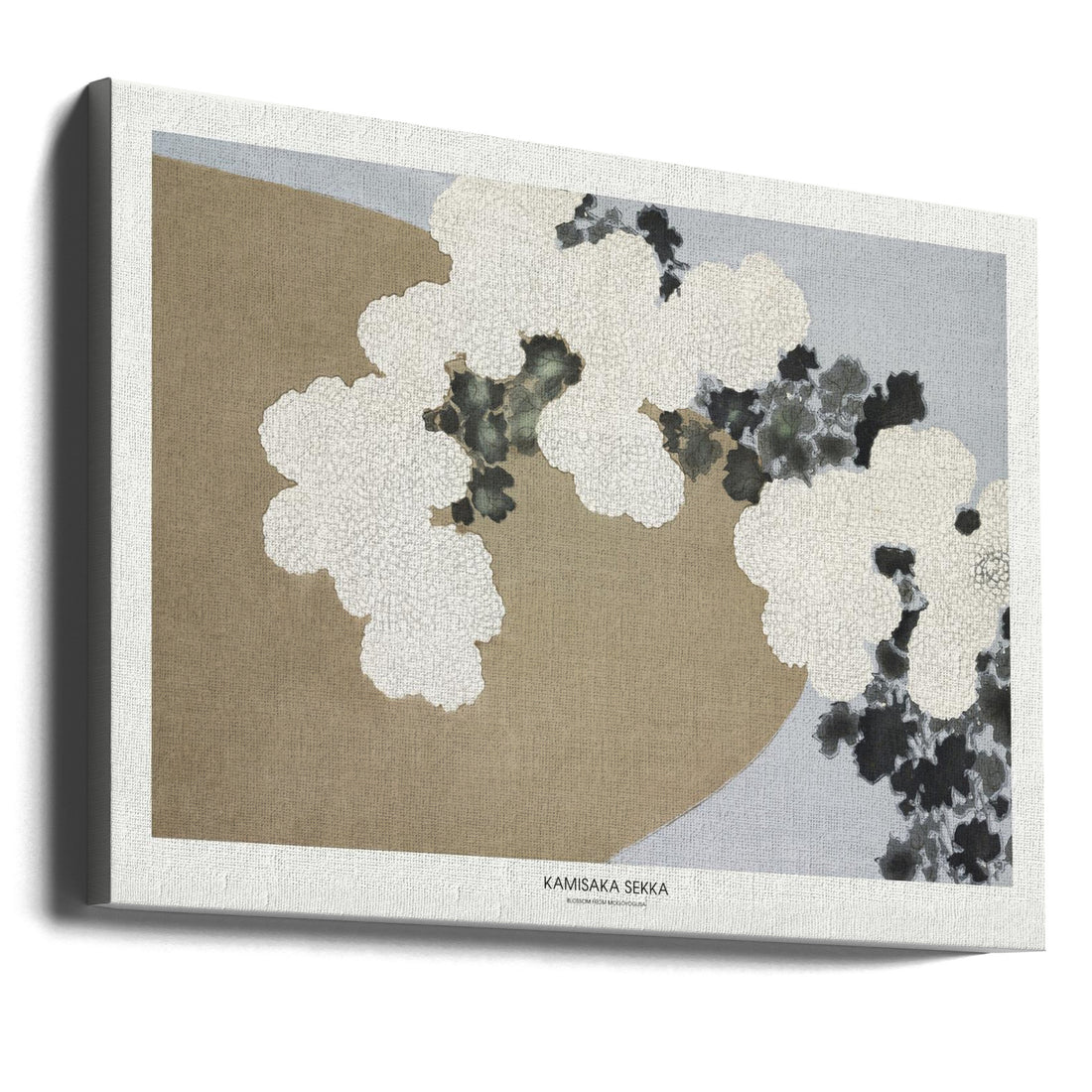 Blossom From Momoyogusa by Kamisaka Sekka | Japanese Floral Painting, Large Canvas Wall Art Print | Artsy Earth