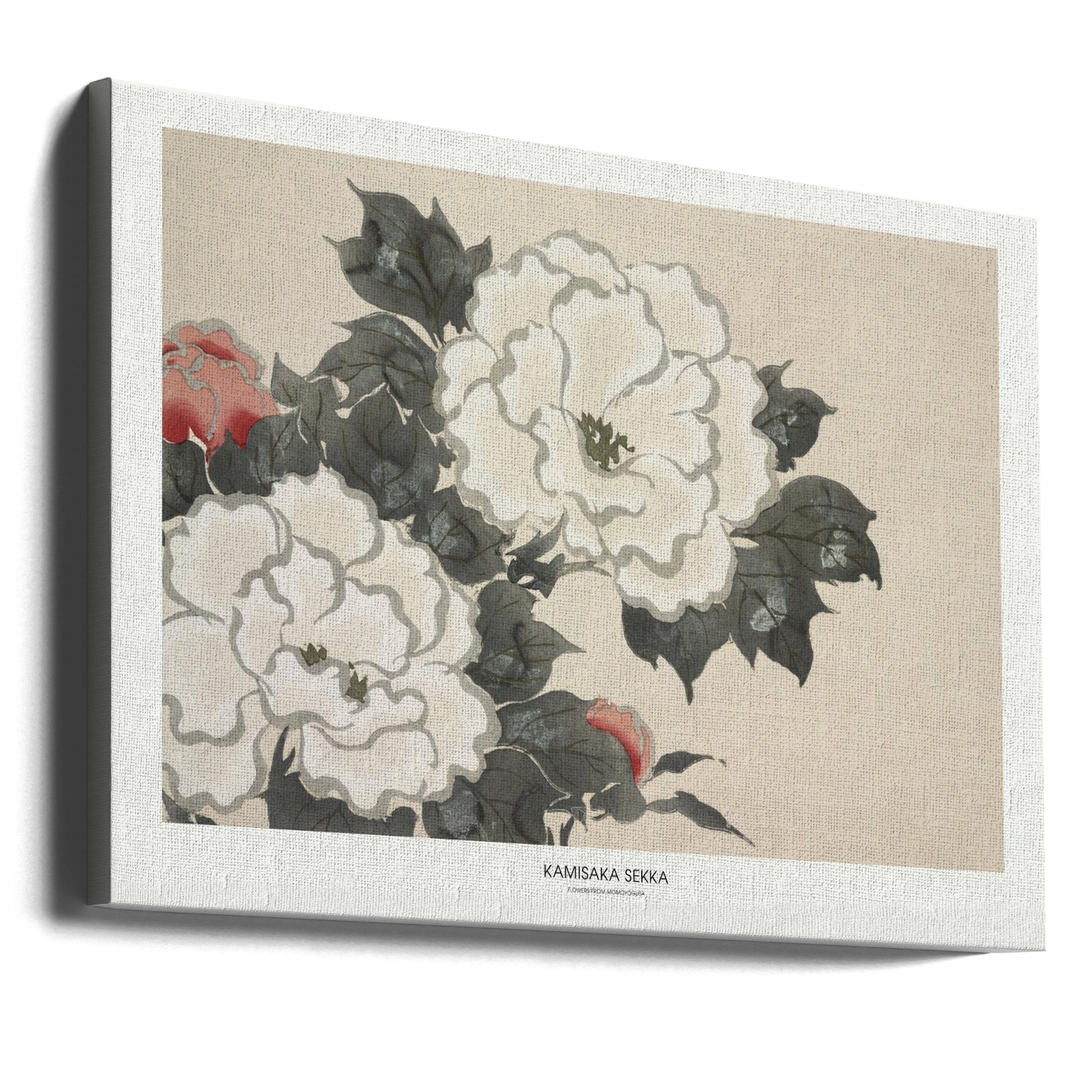 Flowers From Momoyogusa by Kamisaka Sekka | Japanese Botanical Print, Large Canvas Wall Art Print | Artsy Earth