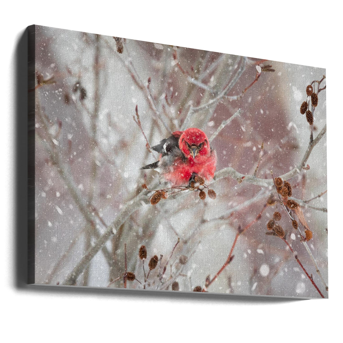 Crossbill in the Snow by Kimberly | Winter Wildlife, Large Canvas Wall Art Print | Artsy Earth