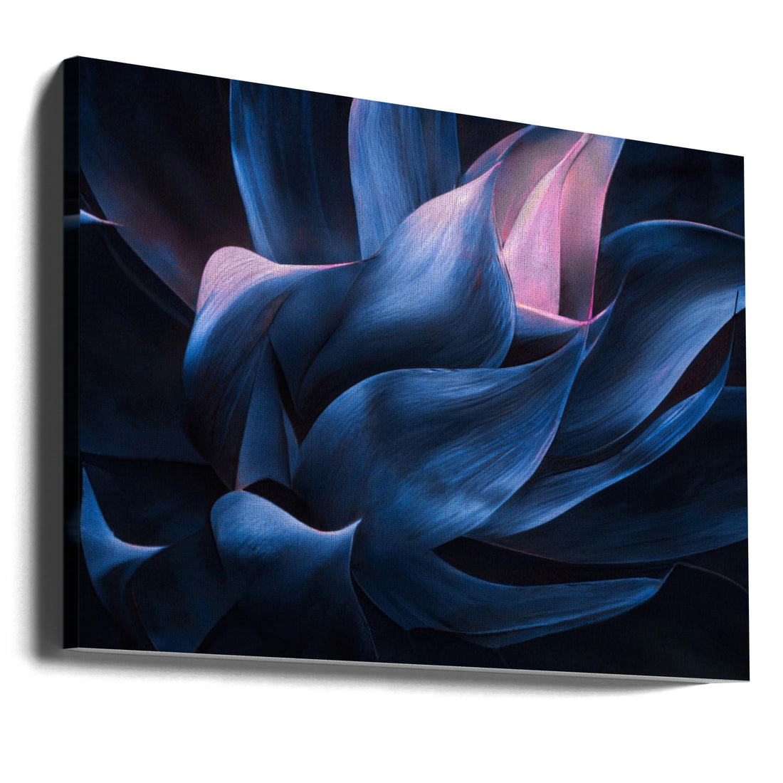 Fade to Pink by Robin Wechsler | Dark Botanical Abstract, Large Canvas Wall Art Print | Artsy Earth