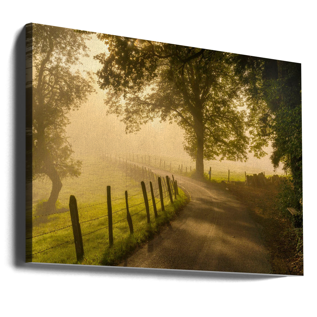 Morning Walk by Norbert Maier | Foggy Country Road, Large Canvas Wall Art Print | Artsy Earth