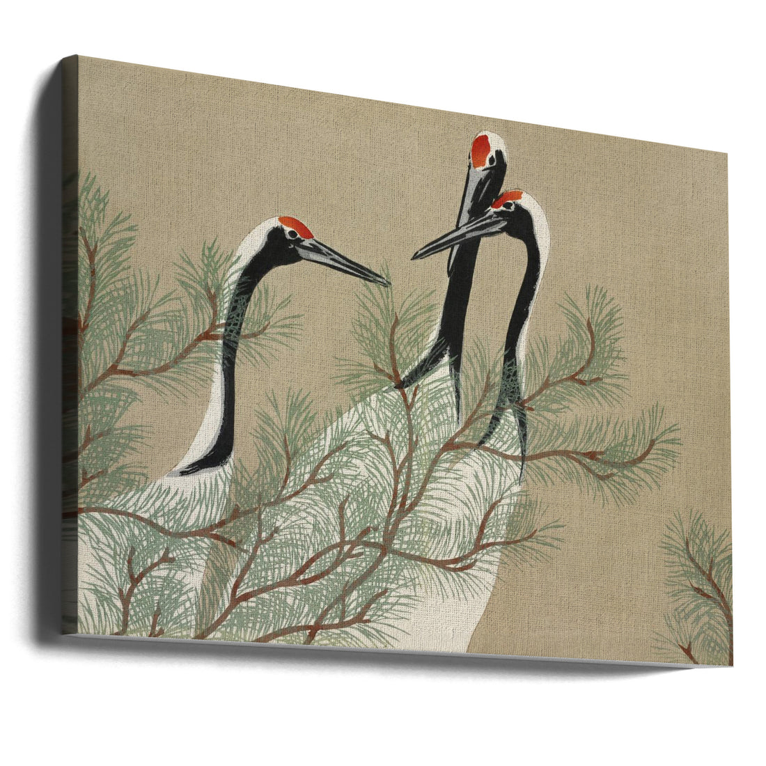 Cranes From Momoyogusa by Kamisaka Sekka | Japanese Woodblock Birds, Large Canvas Wall Art Print | Artsy Earth