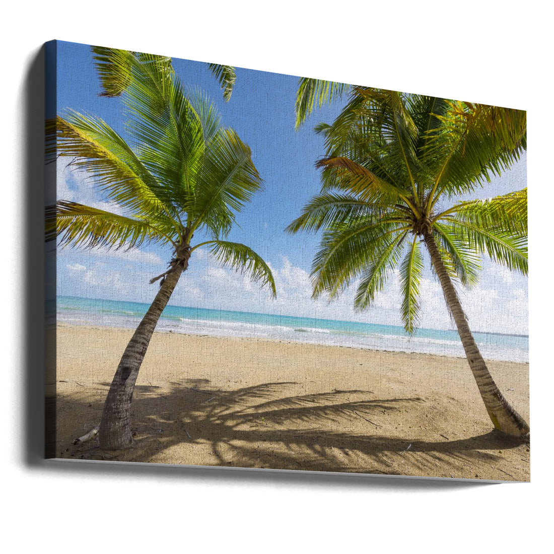 Palmy Beach by Stefan Hefele | Tropical Beach Landscape, Large Canvas Wall Art Print | Artsy Earth