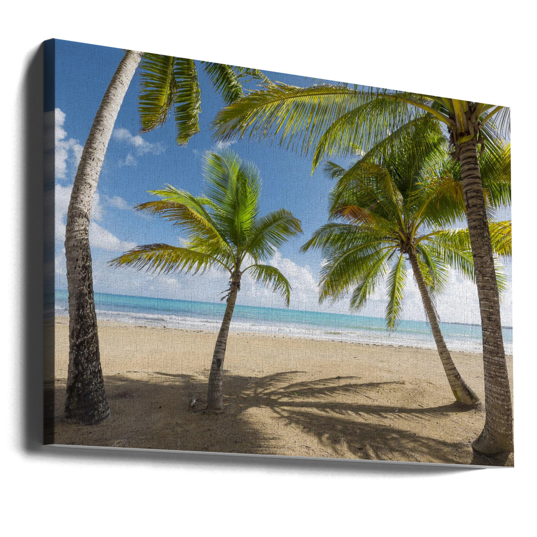 Palmy Beach II by Stefan Hefele | Tropical Beach Paradise, Large Canvas Wall Art Print | Artsy Earth