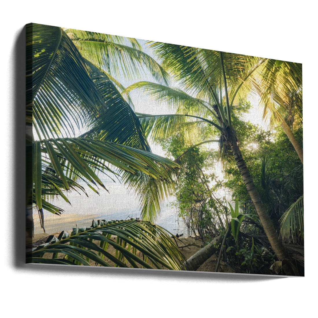 Hide under Palms by Stefan Hefele | Tropical Palm Beach, Large Canvas Wall Art Print | Artsy Earth