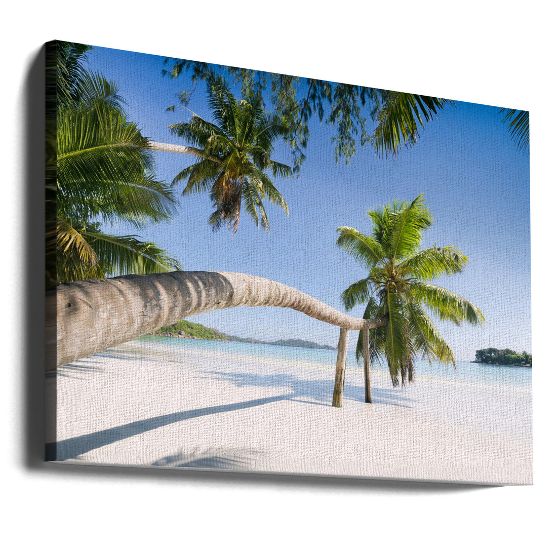 Seychelles Palm Beach by Stefan Hefele | Coastal Tropical Landscape, Large Canvas Wall Art Print | Artsy Earth