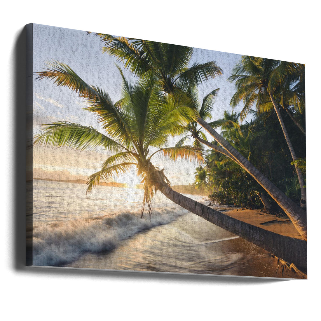 Paradise Shore by Stefan Hefele | Tropical Beach Sunset, Large Canvas Wall Art Print | Artsy Earth