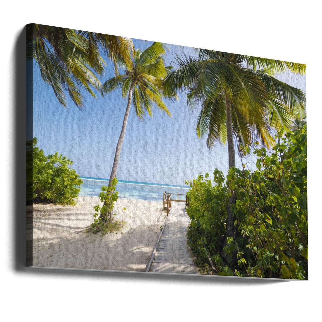 To the Beach by Stefan Hefele | Tropical Beach Paradise, Large Canvas Wall Art Print | Artsy Earth