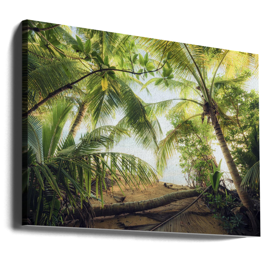 Pirates Nest by Stefan Hefele | Tropical Palm Beach, Large Canvas Wall Art Print | Artsy Earth