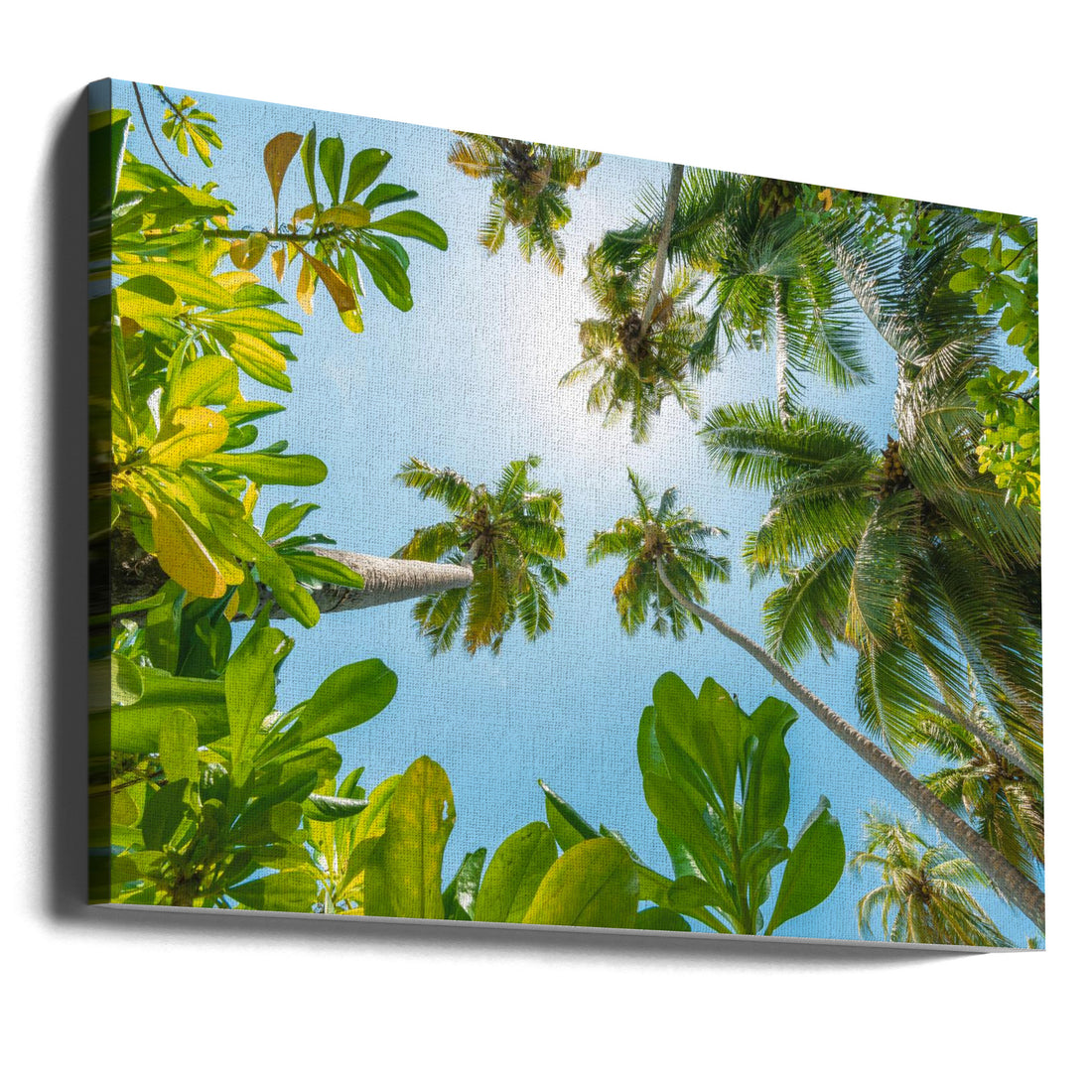 Tropical Up by Stefan Hefele | Tropical Palm Perspective, Large Canvas Wall Art Print | Artsy Earth