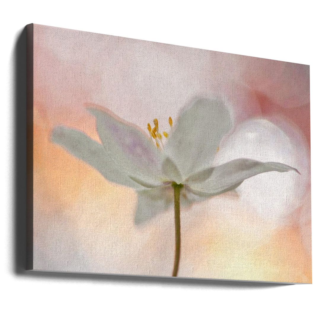 A Sip of Art by Bee Thalin | Soft Floral Bokeh, Large Canvas Wall Art Print | Artsy Earth