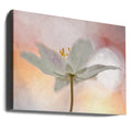 A Sip of Art by Bee Thalin | Soft Floral Bokeh, Large Canvas Wall Art Print | Artsy Earth