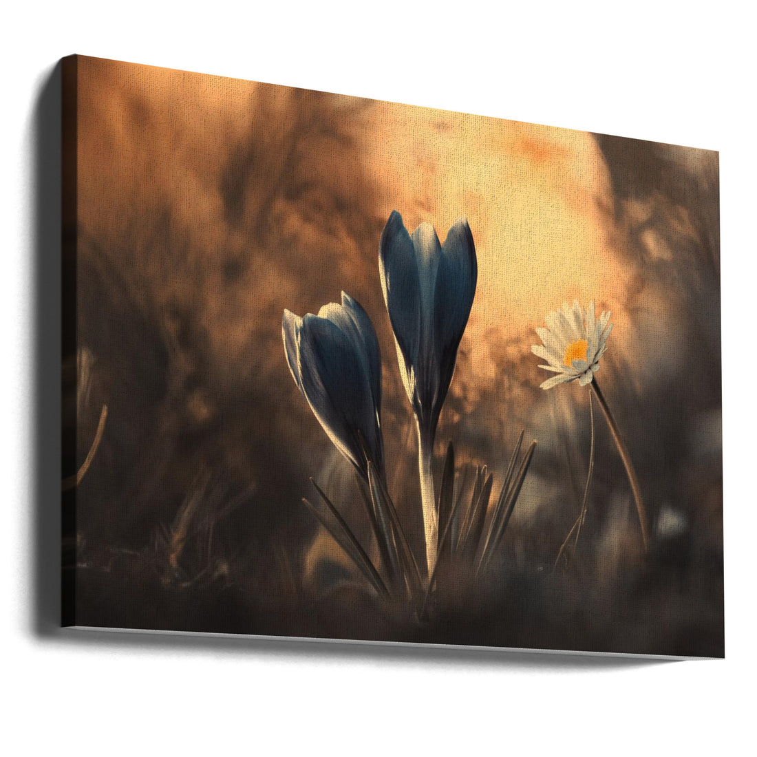 The magic beneath our feet by Fabien Bravin | Floral Botanical Macro, Large Canvas Wall Art Print | Artsy Earth