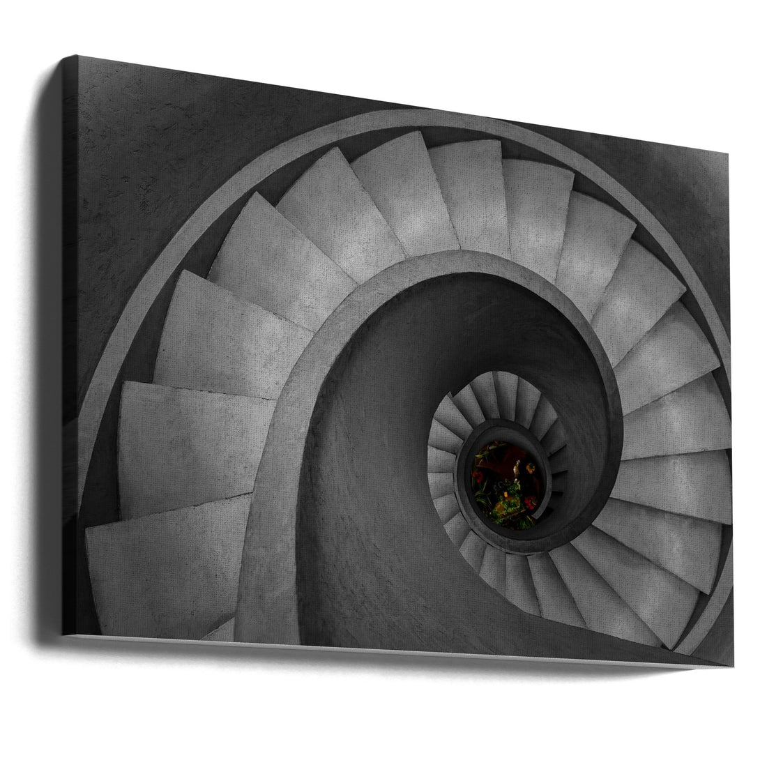 Flowers in the Vortex by Konglingming | Spiral Staircase Architecture, Large Canvas Wall Art Print | Artsy Earth