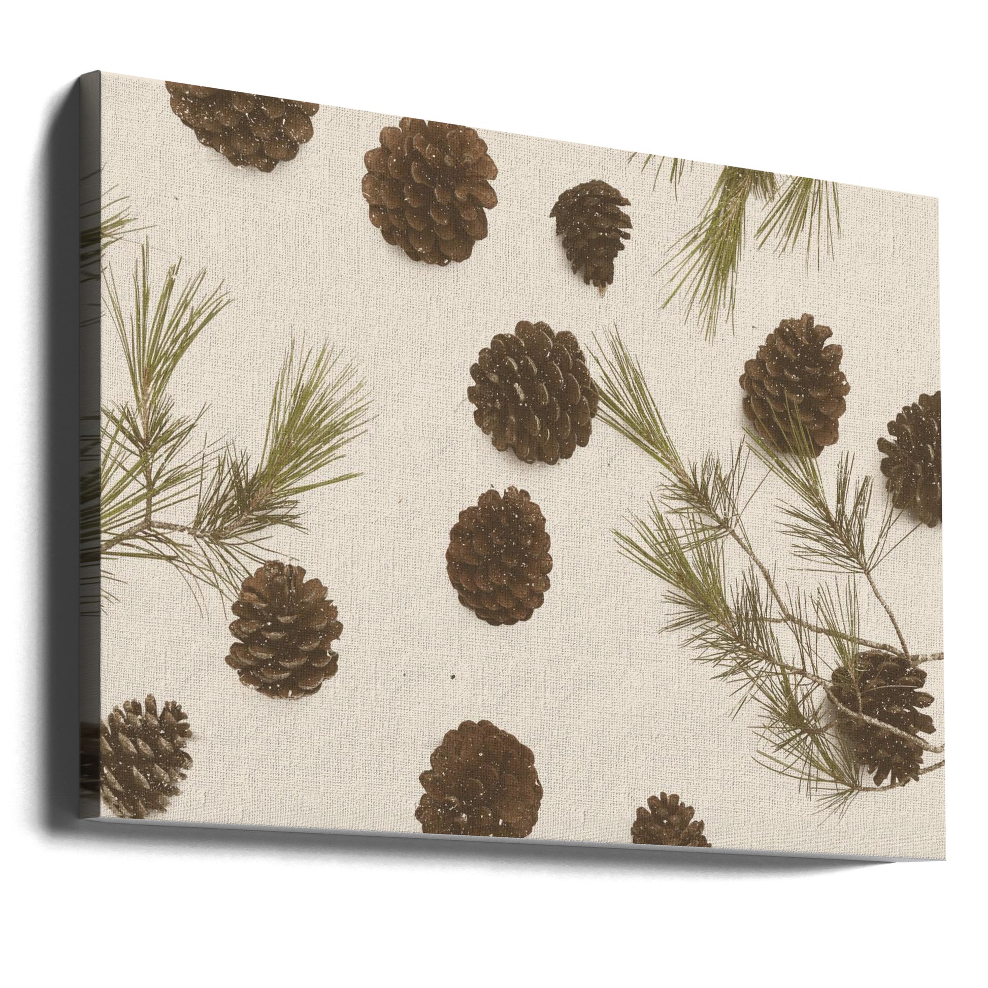 Merry Christmas My Dear by Florent Bodart | Pine Cone Christmas, Large Canvas Wall Art Print | Artsy Earth