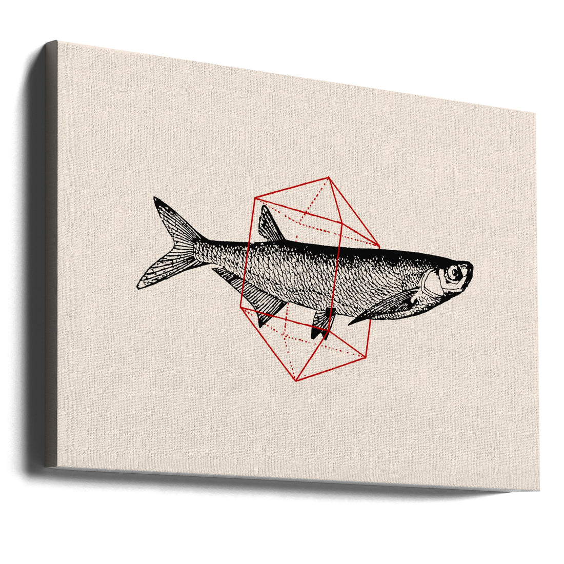 Fish In Geometrics by Florent Bodart | Minimalist Fish Illustration, Large Canvas Wall Art Print | Artsy Earth