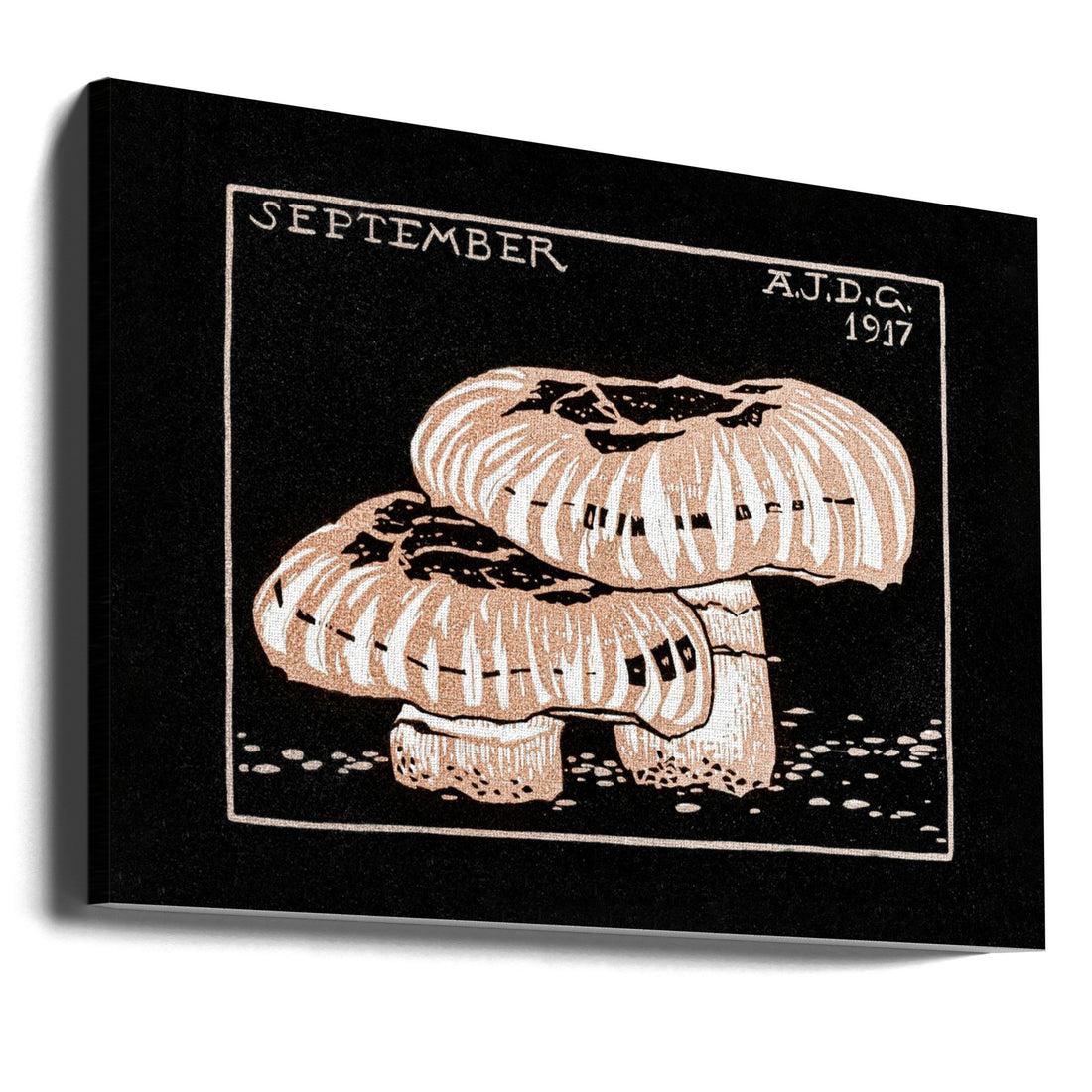 September 1917 by Julie De Graag | Vintage Mushroom Art, Large Canvas Wall Art Print | Artsy Earth