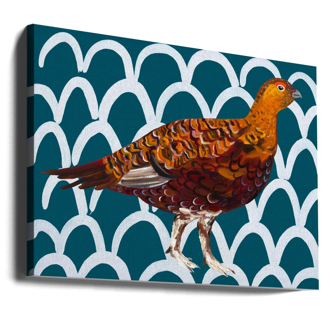 Gorgeous Grouse by Alice Straker | Colorful Bird Illustration, Large Canvas Wall Art Print | Artsy Earth