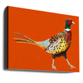 Strutting Pheasant On Orange by Alice Straker | Wildlife Bird Painting, Large Canvas Wall Art Print | Artsy Earth