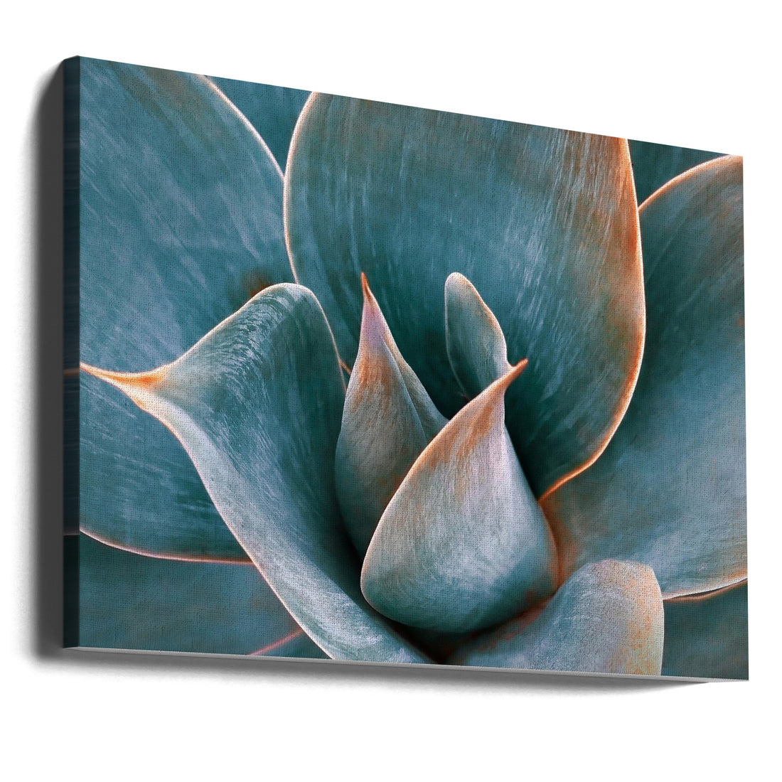 Agave Abstract in Spring by Robin Wechsler | Botanical Succulent Pattern, Large Canvas Wall Art Print | Artsy Earth