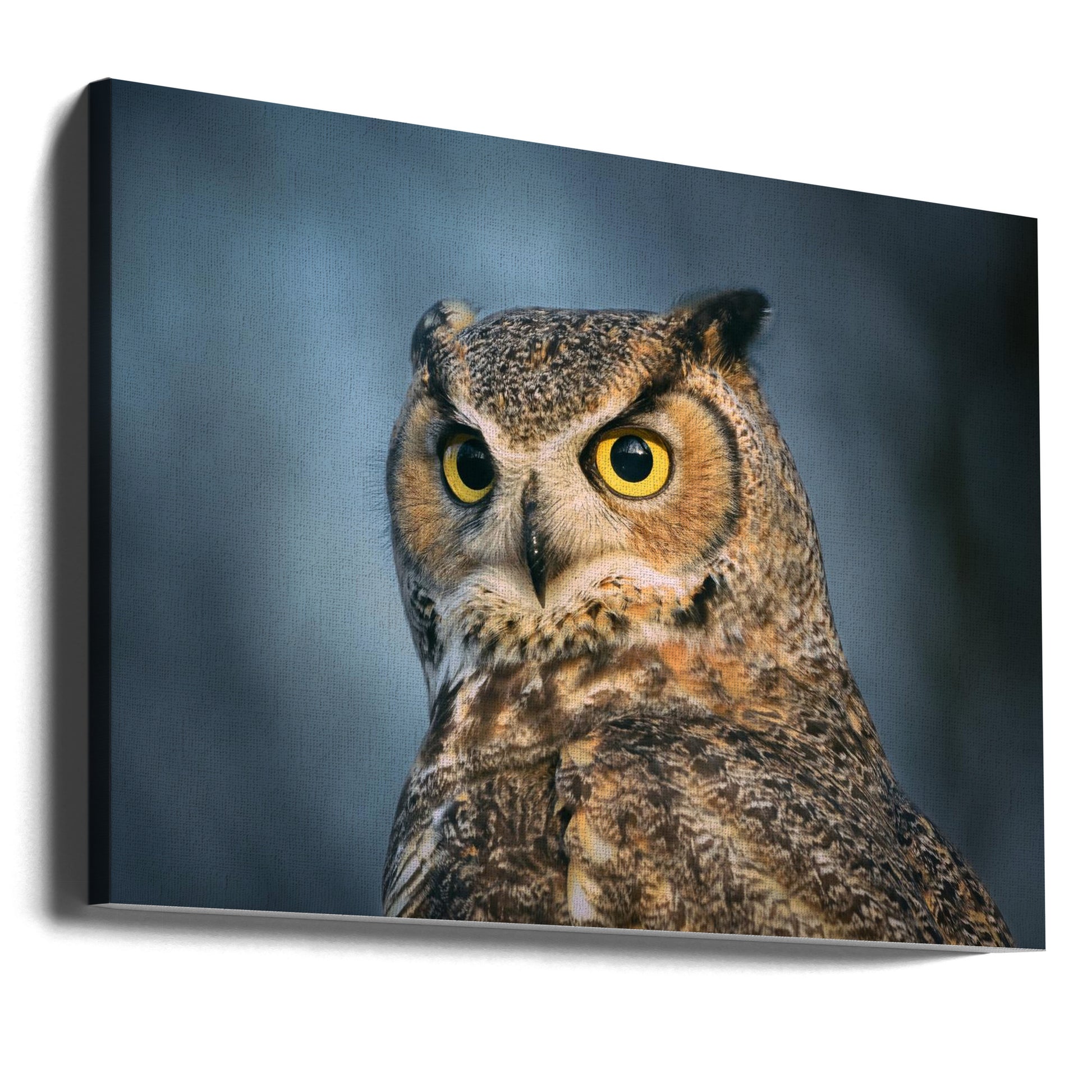 The eyes are the windows of the soul by Li Chen | Wild Owl Portrait, Large Canvas Wall Art Print | Artsy Earth