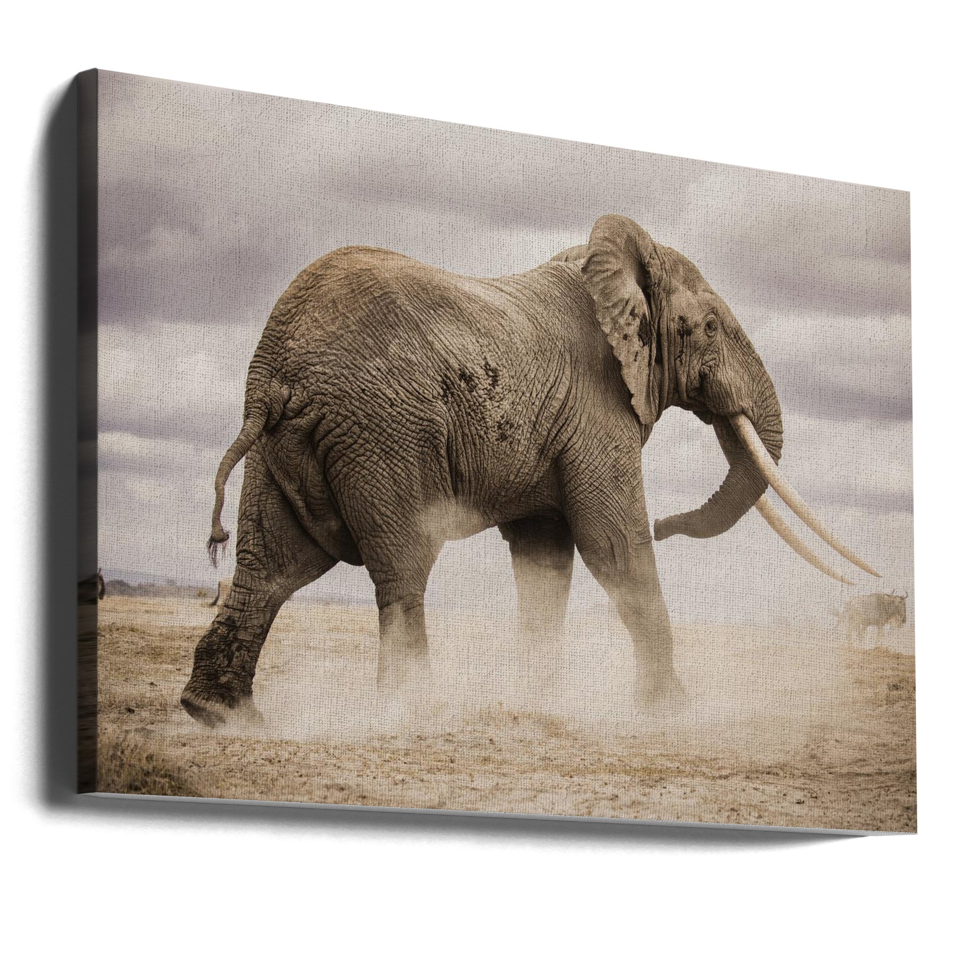 African Elephant Dust by Ali Khataw | Wildlife Safari Nature, Large Canvas Wall Art Print | Artsy Earth