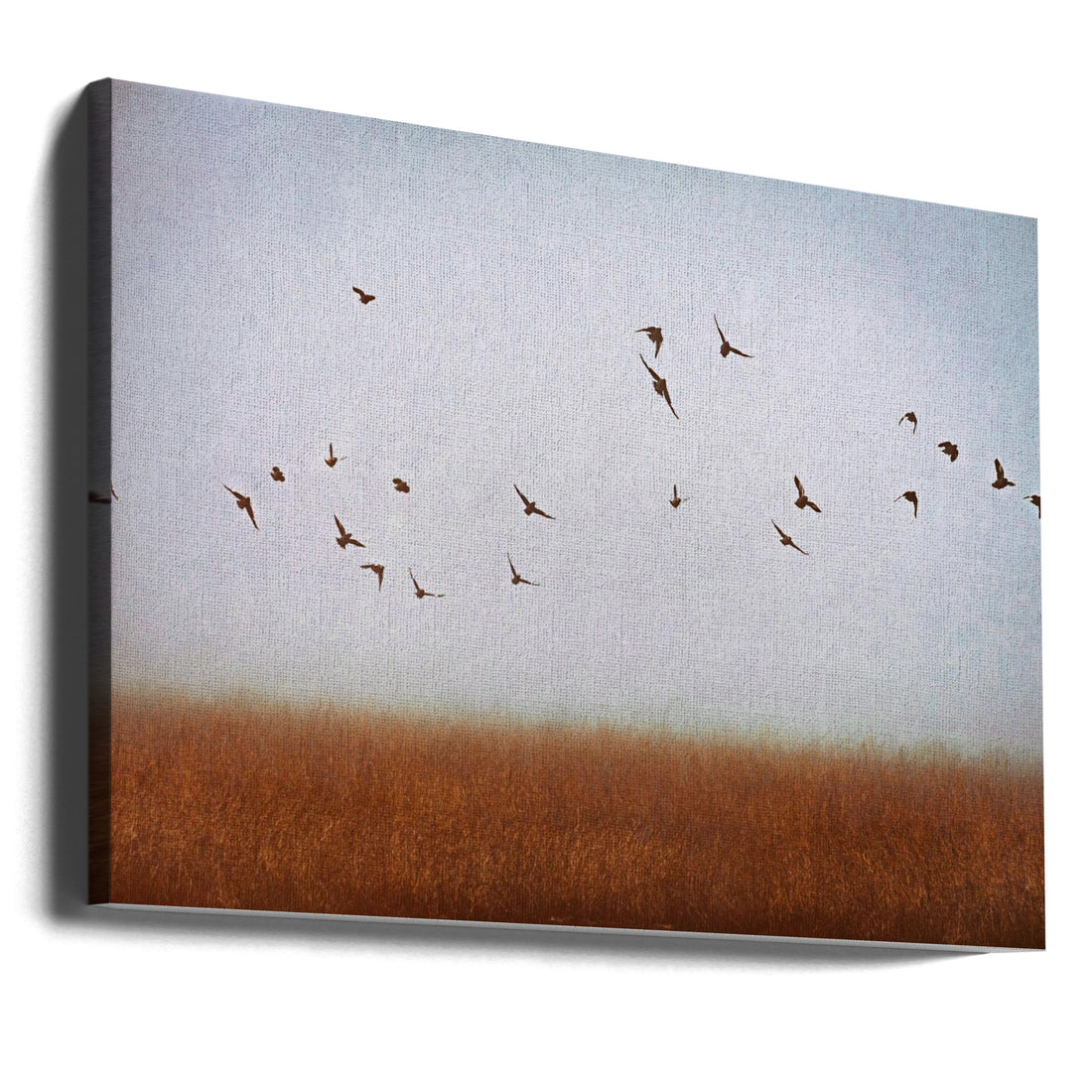 freedom by Ryan Braxton | Winter Forest Birds, Large Canvas Wall Art Print | Artsy Earth