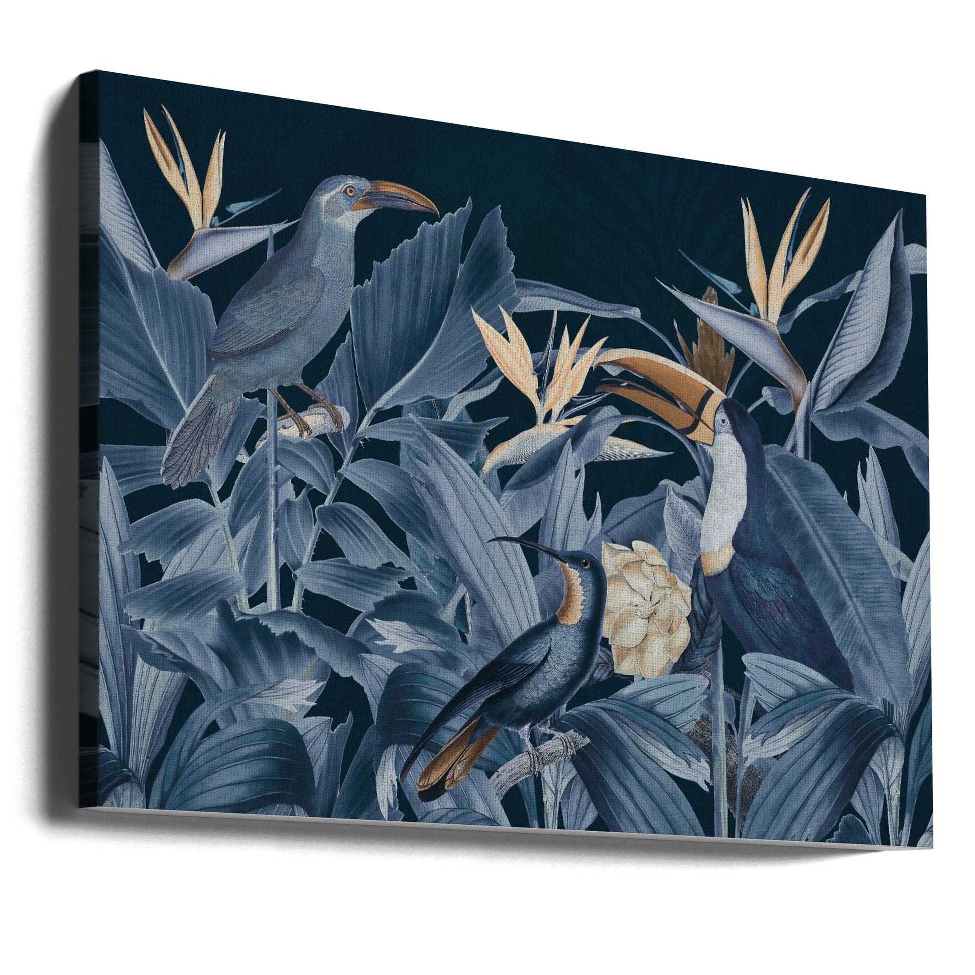 Rainforest Birds Blue by Andrea Haase | Blue Birds Nature, Large Canvas Wall Art Print | Artsy Earth