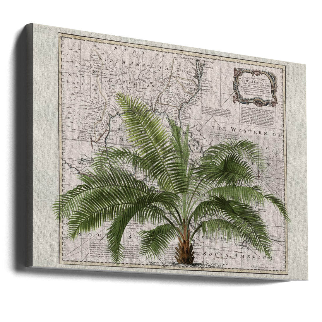 Tropical Empire No2 by Andrea Haase | Vintage Tropical Botanical, Large Canvas Wall Art Print | Artsy Earth