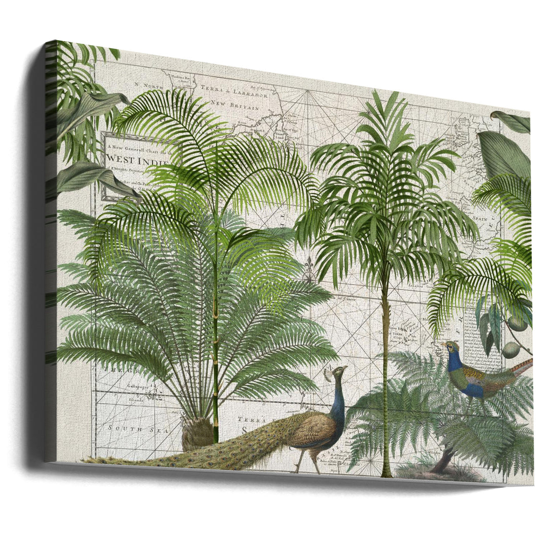 Tropical Empire No6 by Andrea Haase | Exotic Tropical Forest, Large Canvas Wall Art Print | Artsy Earth