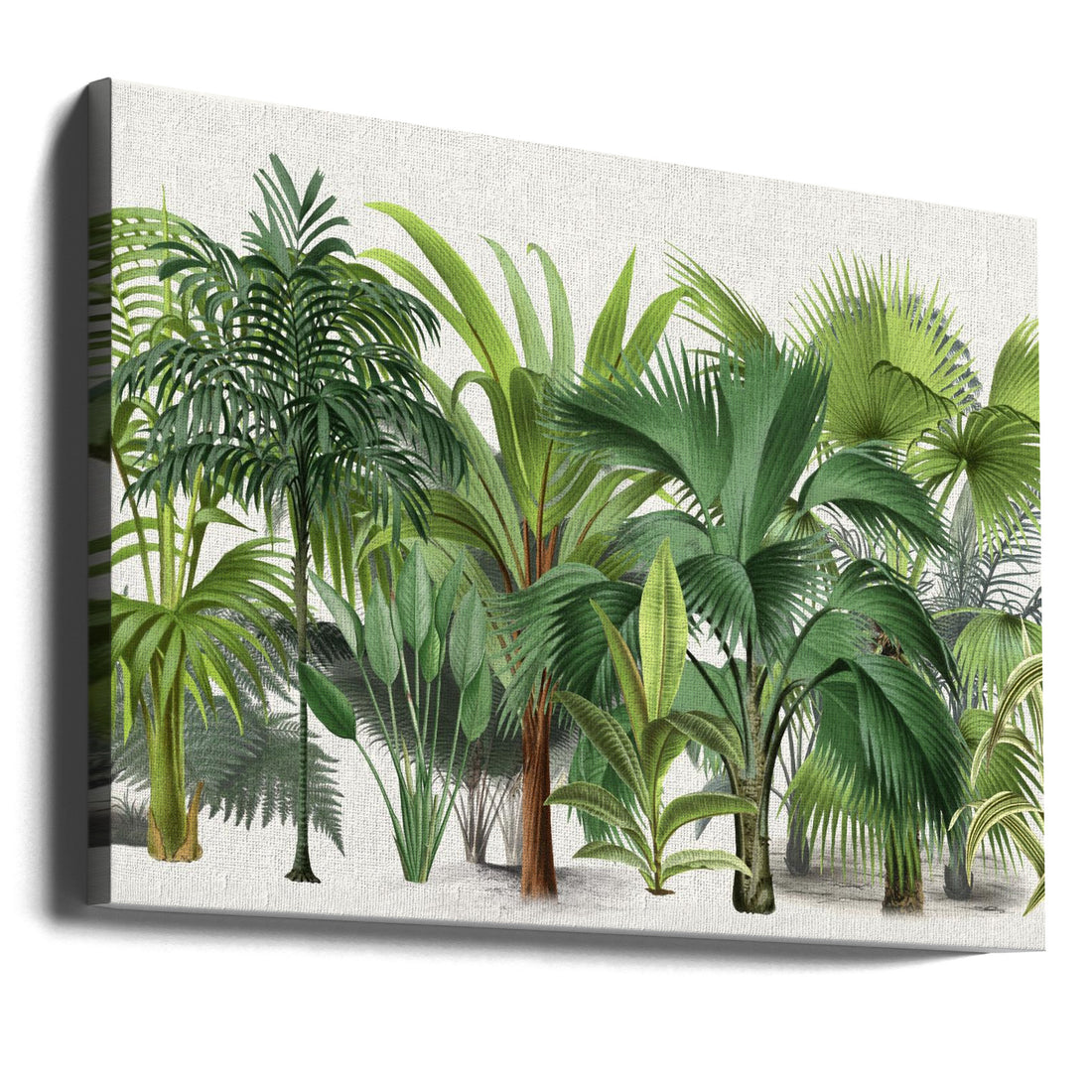 Exotic Wildlife by Andrea Haase | Tropical Jungle Landscape, Large Canvas Wall Art Print | Artsy Earth