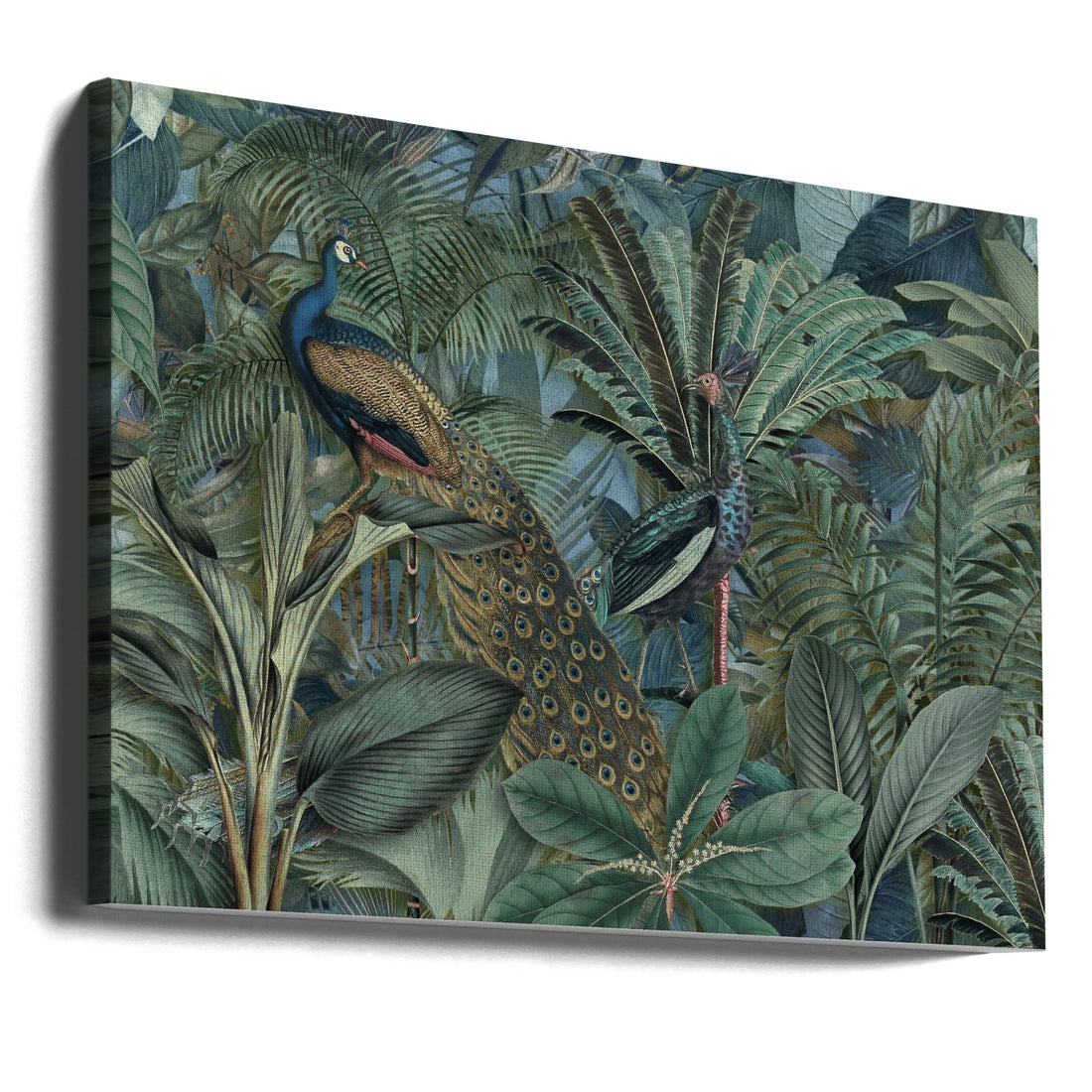 Jungle Birds Garden by Andrea Haase | Tropical Forest Birds, Large Canvas Wall Art Print | Artsy Earth