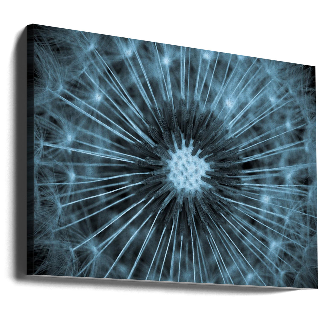 Blue Dandelion Macro by Guillaume Legraverend | Abstract Floral Botanical, Large Canvas Wall Art Print | Artsy Earth