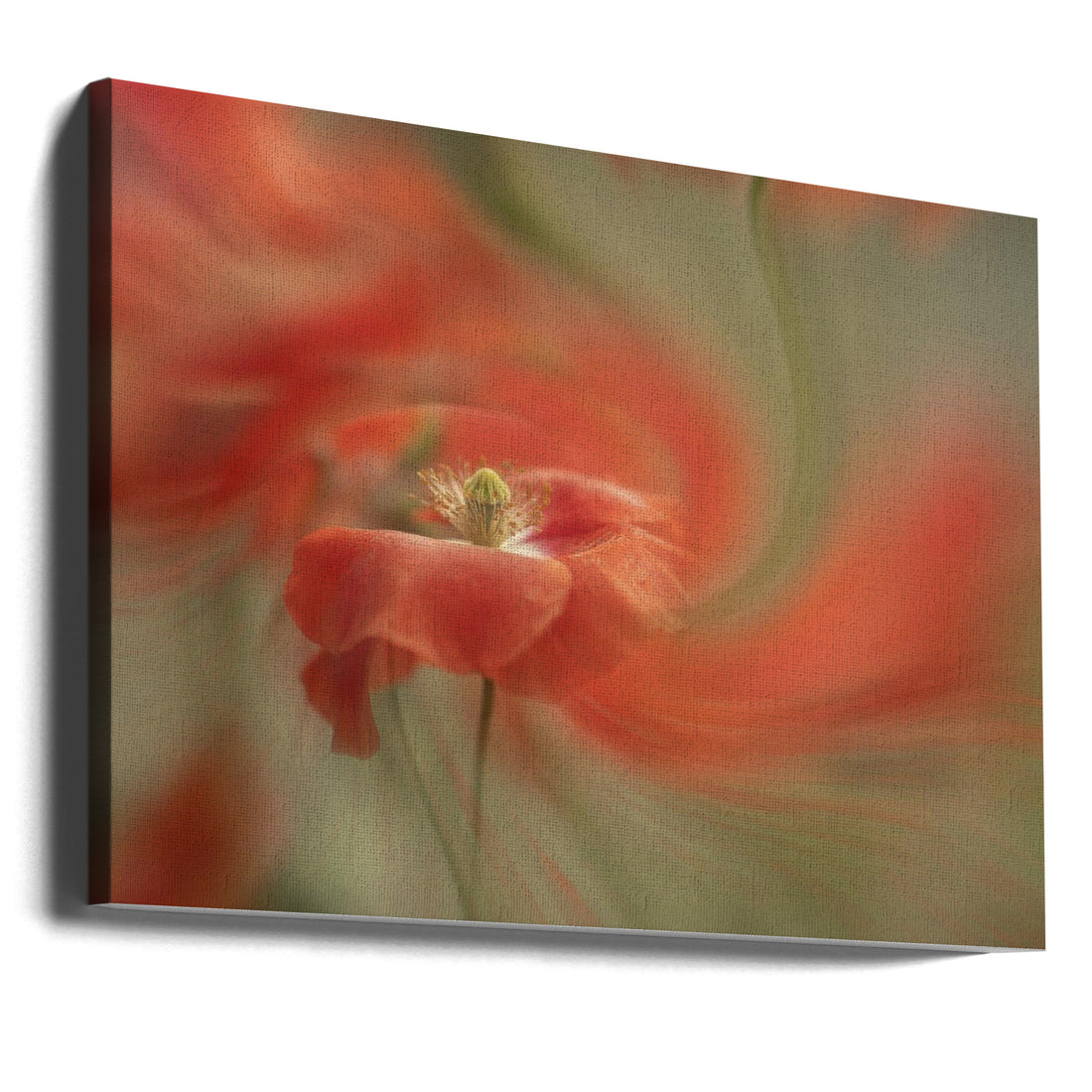 Red Floral Ballet by Judy Tseng | Macro Floral Abstract, Large Canvas Wall Art Print | Artsy Earth