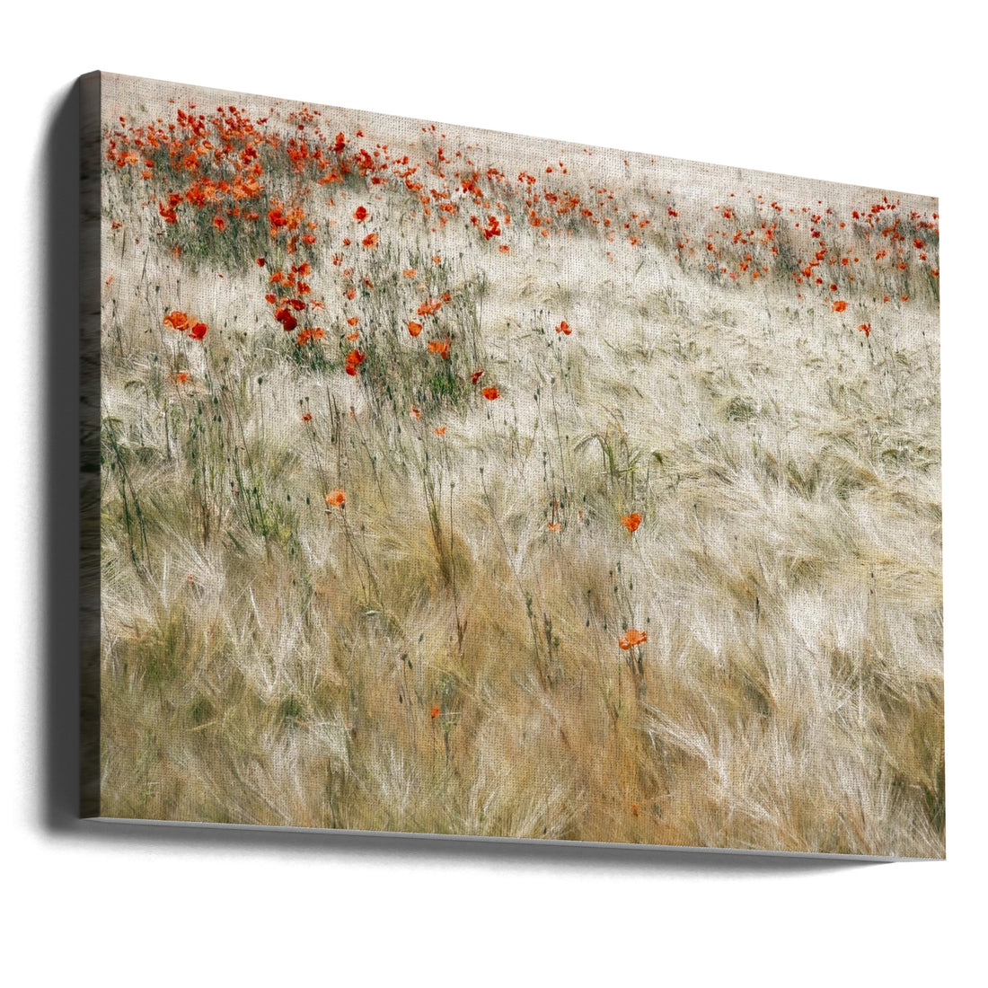 Summerfield Poppies by Gilbert Claes | Floral Meadow Nature, Large Canvas Wall Art Print | Artsy Earth