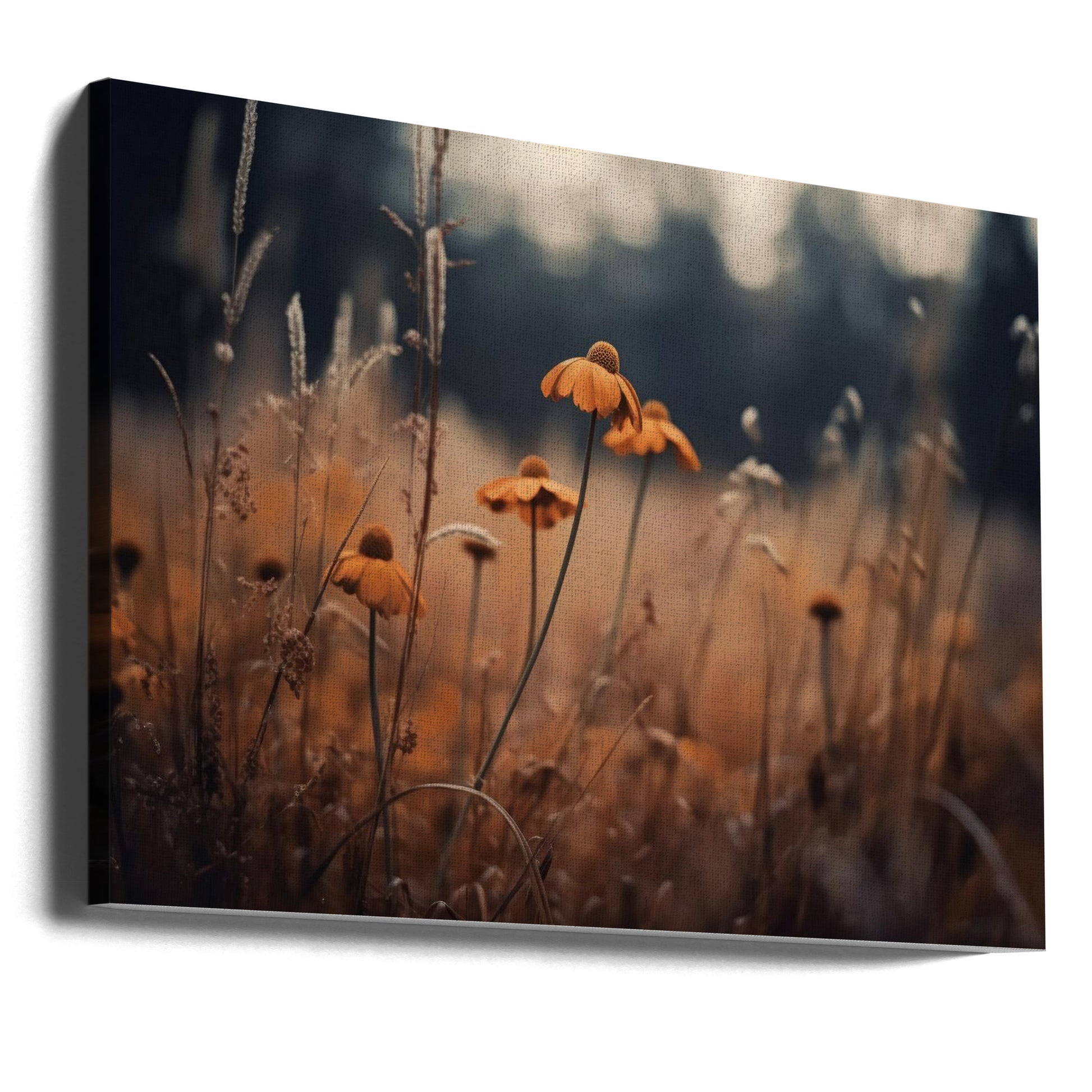 Orange Margarites by Treechild | Floral Nature Field, Large Canvas Wall Art Print | Artsy Earth