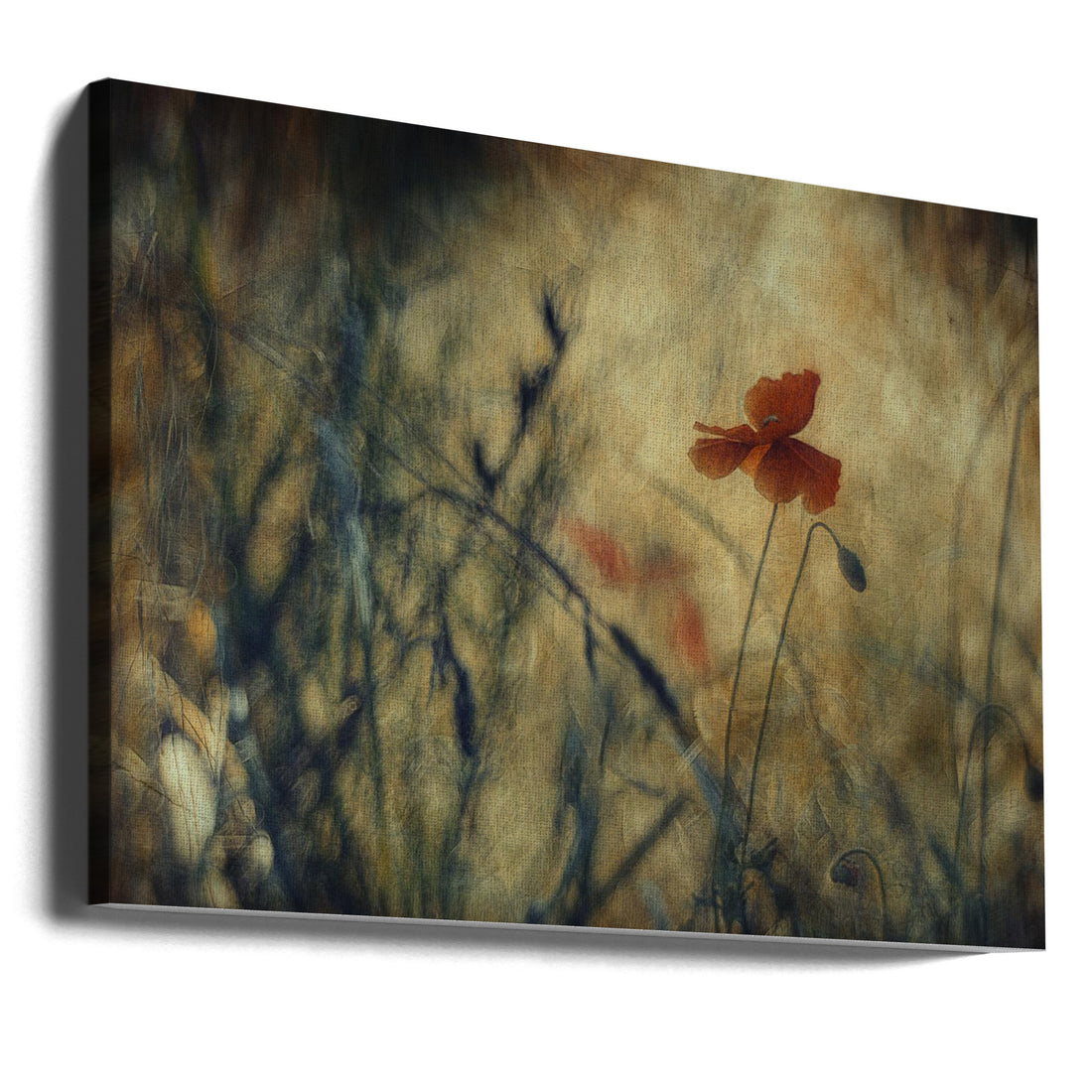 Abstract Poppy Art by Jan Van Der Linden | Painterly Floral Abstraction, Large Canvas Wall Art Print | Artsy Earth