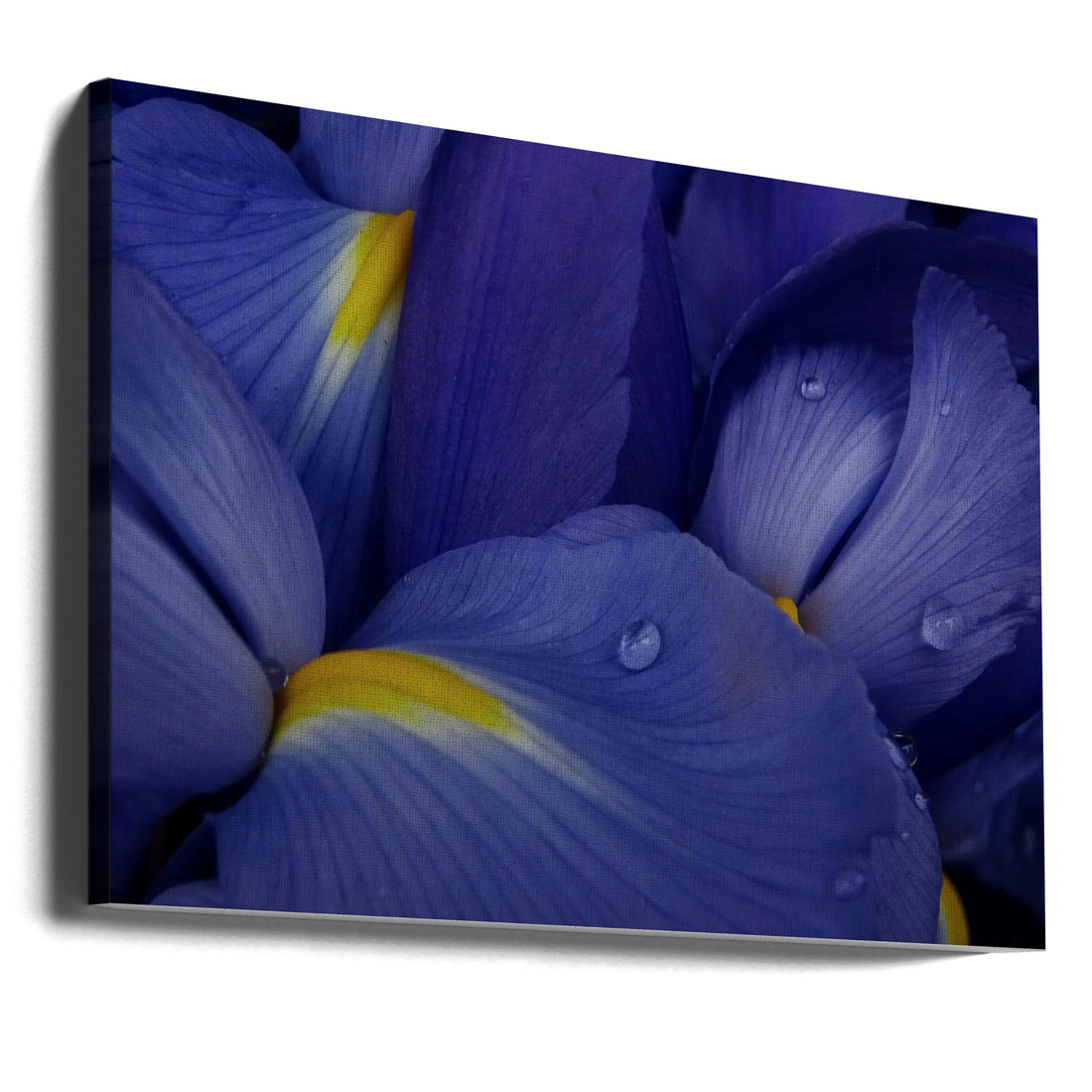 Irises by Ivan Lesica | Purple Floral Bokeh, Large Canvas Wall Art Print | Artsy Earth