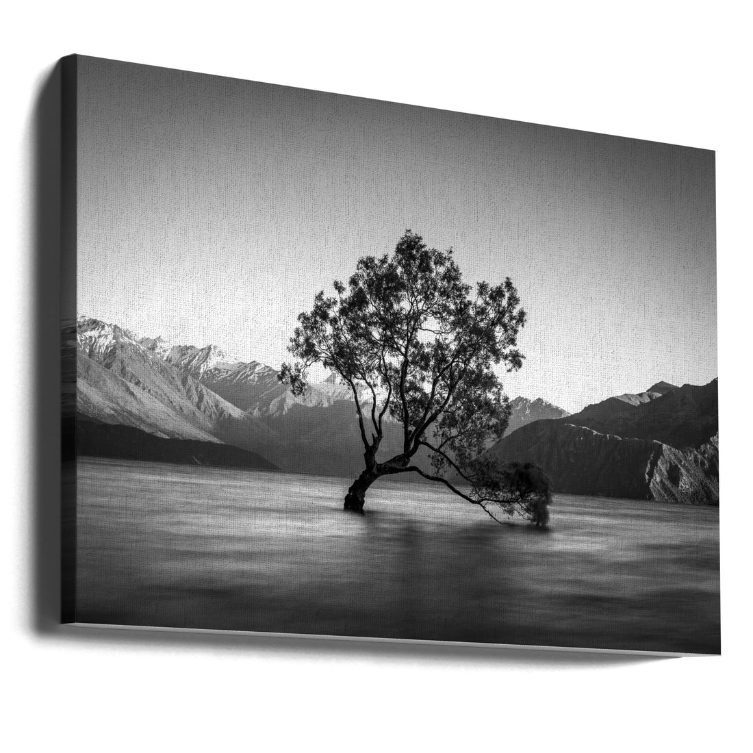 Wanaka Tree by Christoph Schaarschmidt | Lake Mountain Reflection, Large Canvas Wall Art Print | Artsy Earth