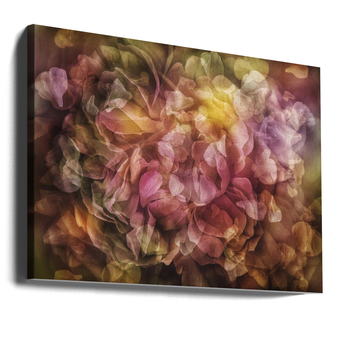 Metamorphosis by Ludmila Shumilova | Floral Transformation Abstract, Large Canvas Wall Art Print | Artsy Earth