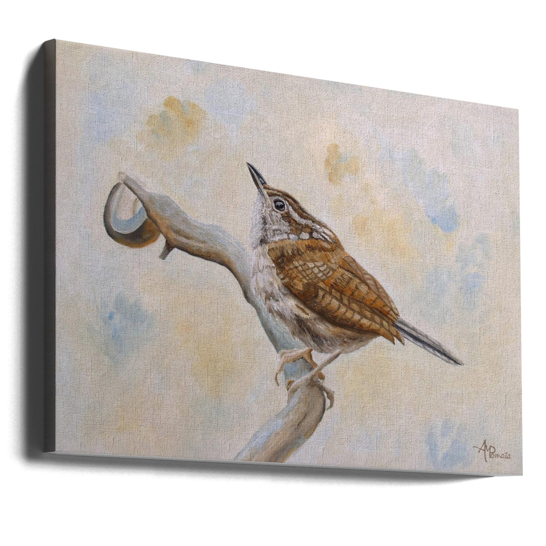 Carolina Wren by Angeles M. Pomata | Bird Animal Painting, Large Canvas Wall Art Print | Artsy Earth