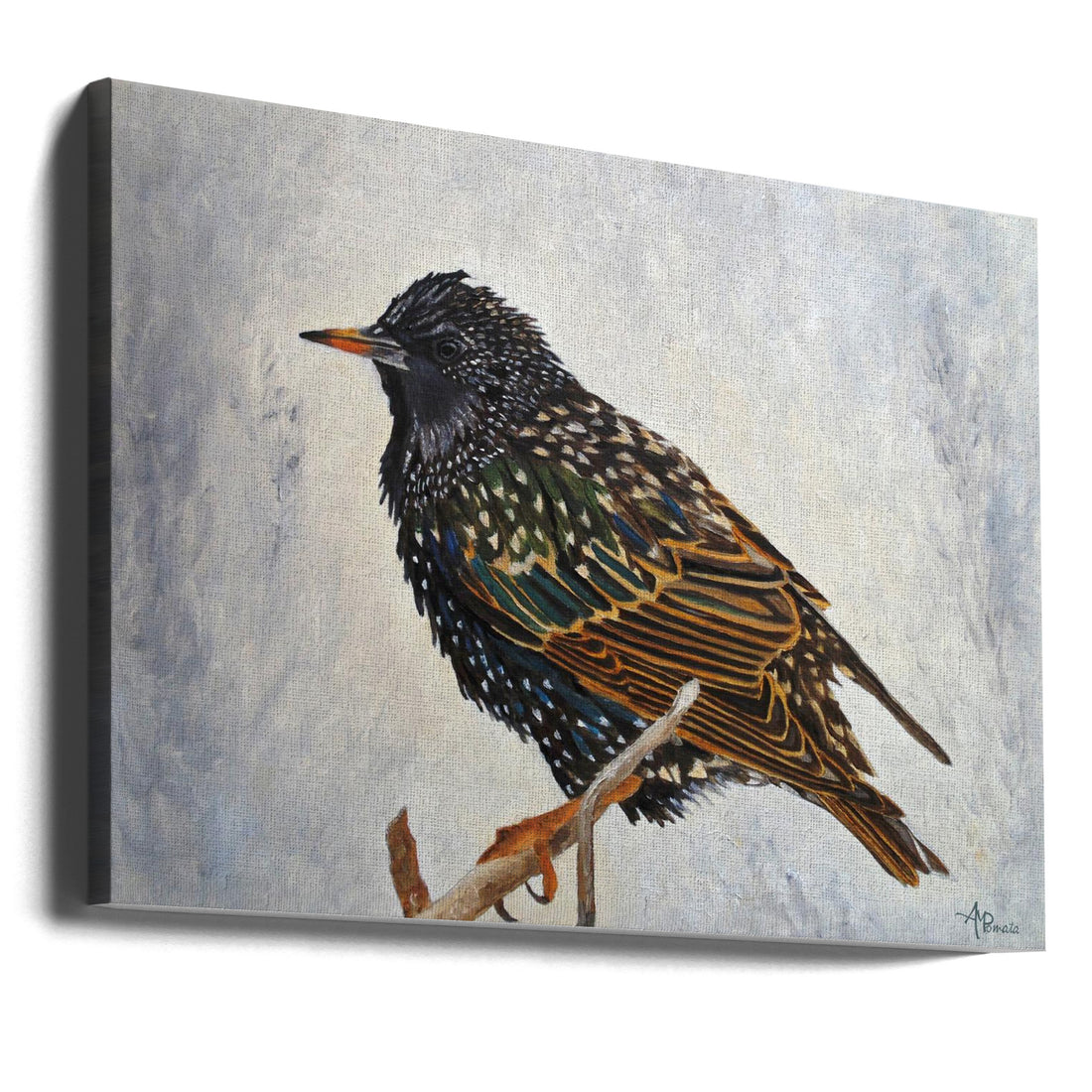 Wrapped Up European Starling by Angeles M. Pomata | Abstract Bird Painting, Large Canvas Wall Art Print | Artsy Earth