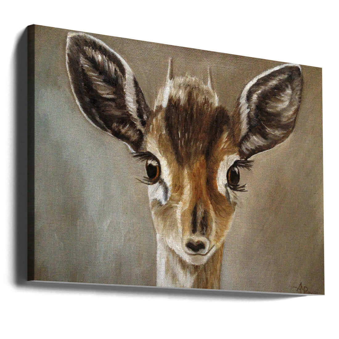 Big Eyes Dik Dik by Angeles M. Pomata | Wildlife Animal Portrait, Large Canvas Wall Art Print | Artsy Earth