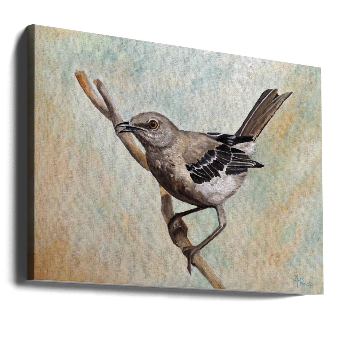 Sharp Eyed Mockingbird by Angeles M. Pomata | Wildlife Bird Painting, Large Canvas Wall Art Print | Artsy Earth