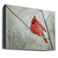 Winter Cardinal by Angeles M. Pomata | Red Cardinal Wildlife, Large Canvas Wall Art Print | Artsy Earth